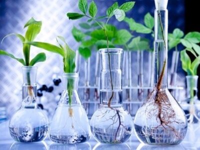 agriculture-biotechnology