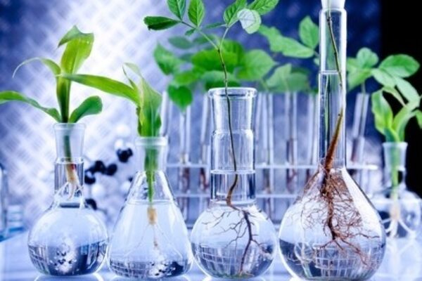 agriculture-biotechnology